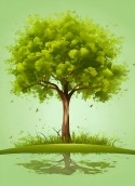 Green Tree HTC EVO Design 4G Wallpaper