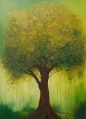 Green Tree Huawei Y8s Wallpaper