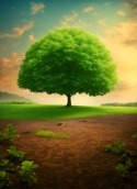 Green Tree Samsung Galaxy Tab S6 5G Wallpaper