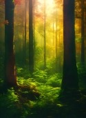 Green Forest Meizu MX4 Pro Wallpaper
