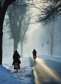 Winter Morning HTC Flyer Wallpaper