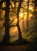 Mystical Forest LG Optimus L5 E610 Wallpaper